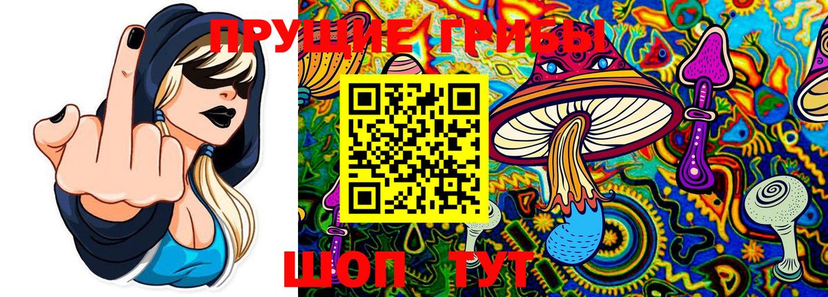 Коряжма  Галлюциногенные грибы MAGIC MUSHROOMS  где купить наркоту  Галлюциногенные грибы Magic Shrooms  Вход с VPN 