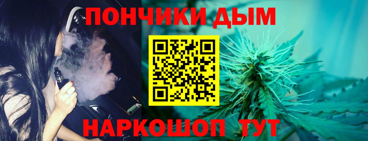 Канабис план Коряжма